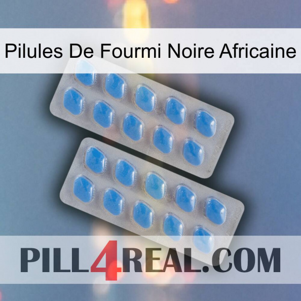African Black Ant Pills 23.jpg